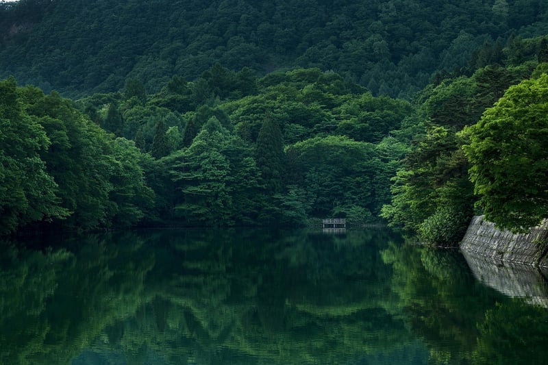 Mystical Realm